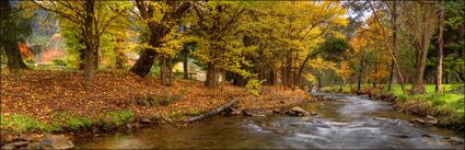 Harrietville - VIC (PBH3 00 34309)